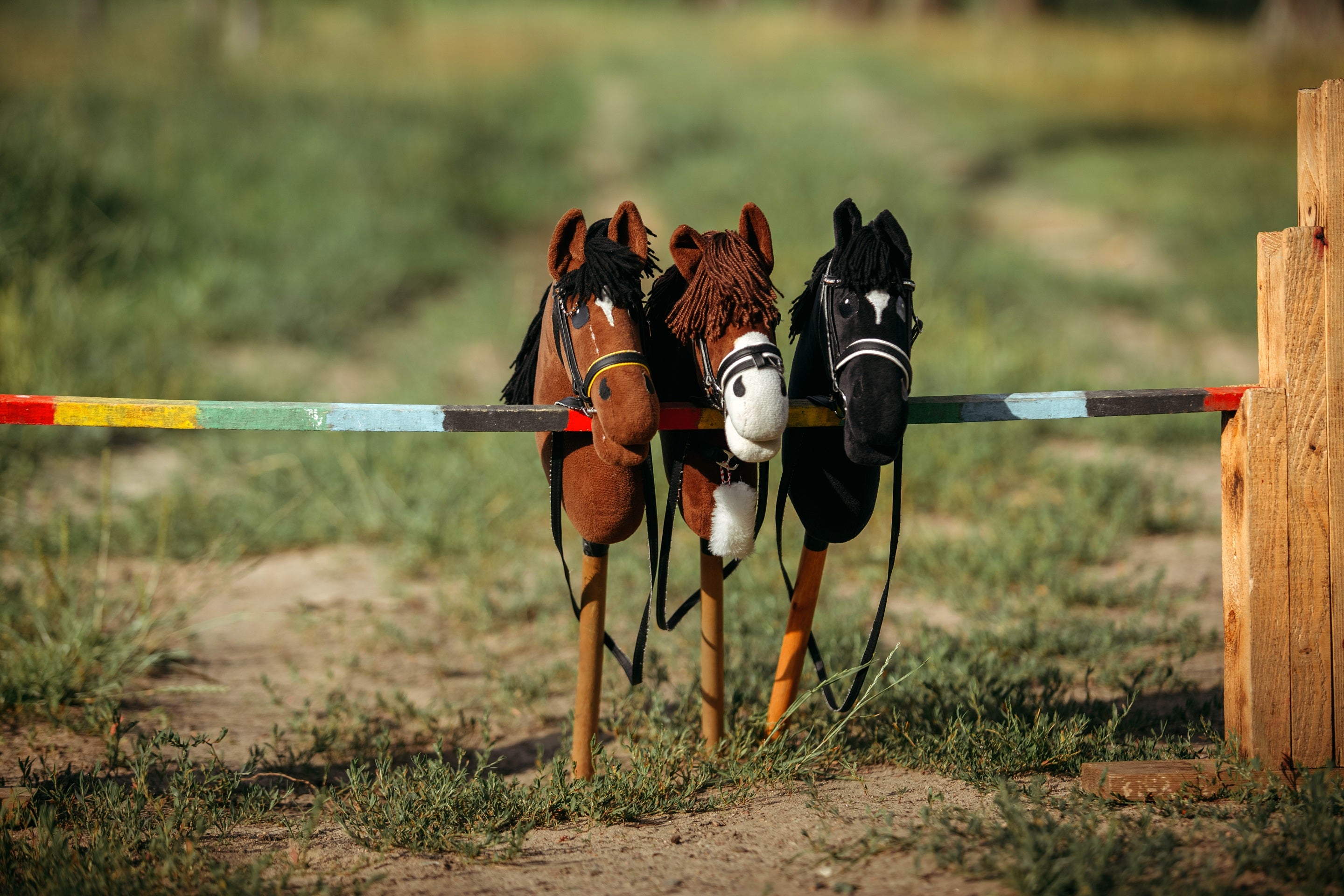 Hobby Horsing - Der neue Trendsport